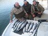 (04/08/2018) - Nice Striped Bass